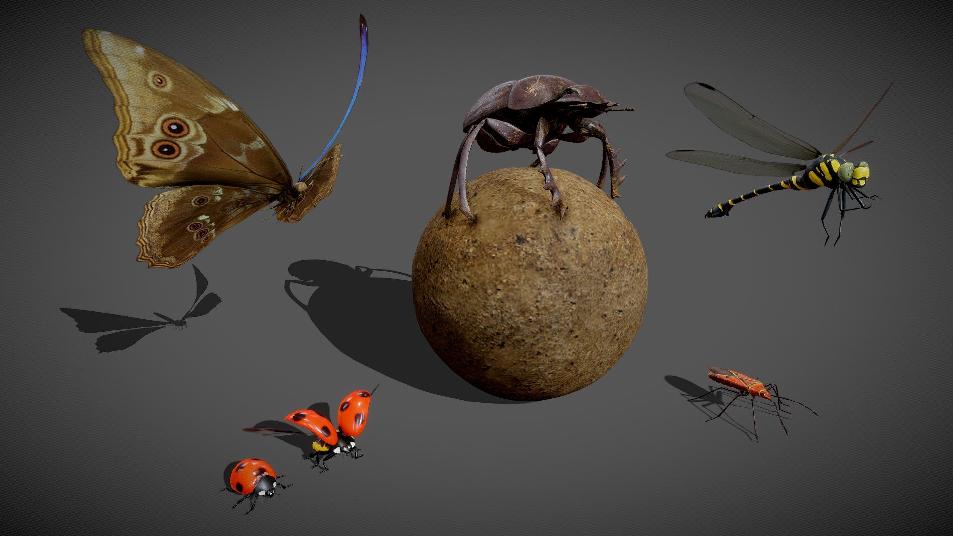 Animated insect pack 3d model