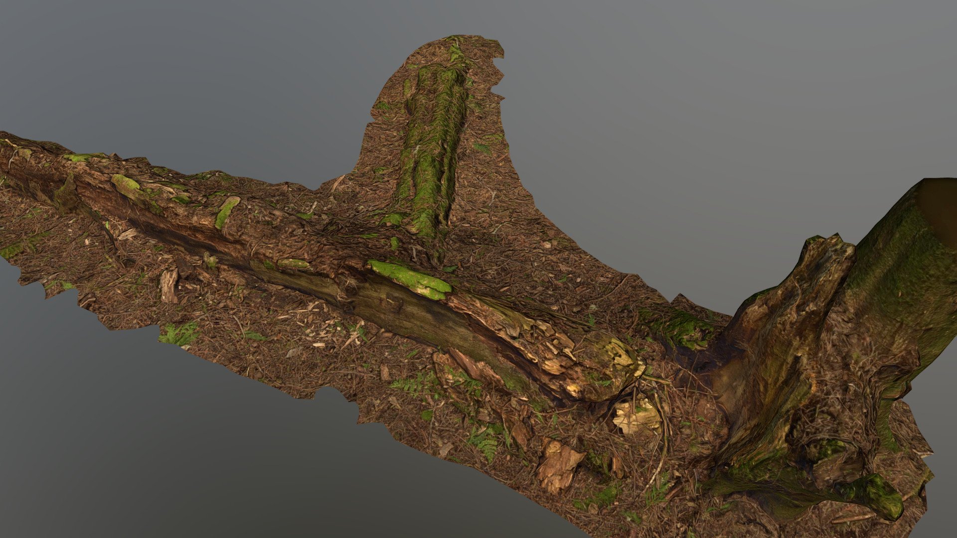 Fallen Tree 2 3d model