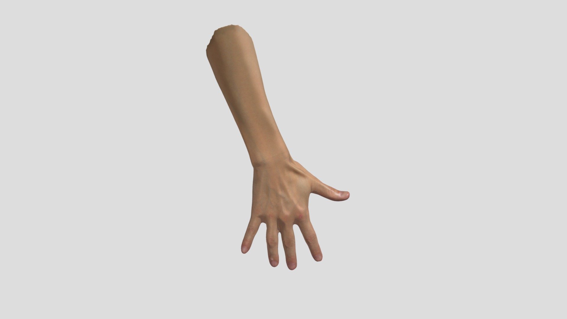 Human Hand 3D Scan High Quality 3d model