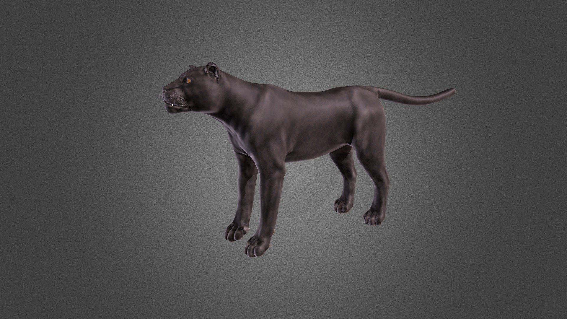 Panther 3d model