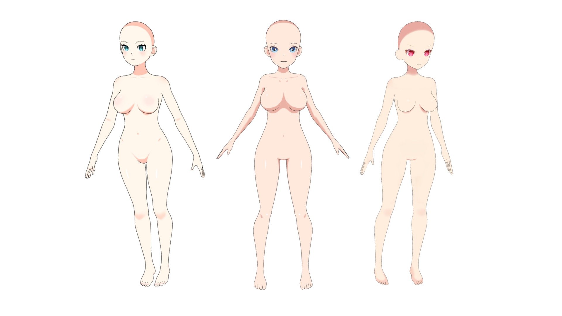 Female bases 3d model