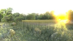 Farmland & Forest