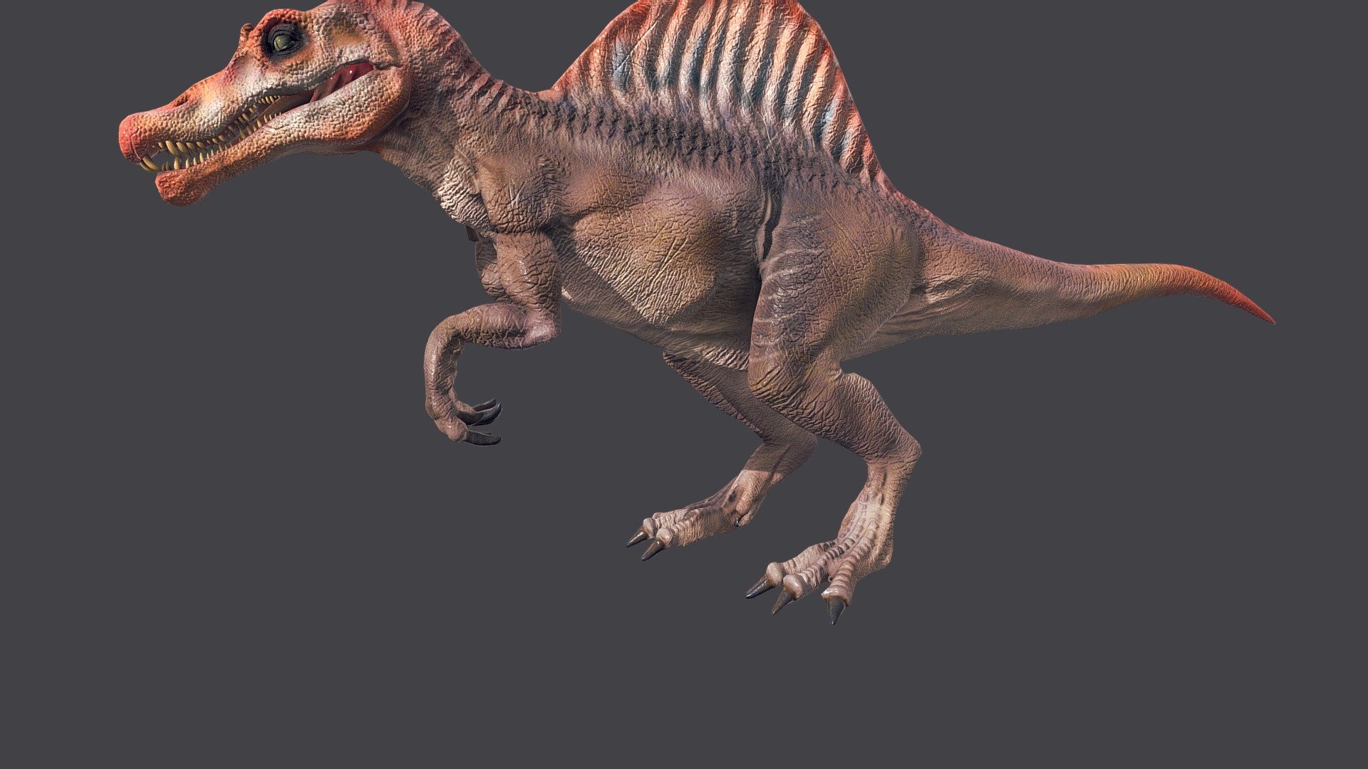 Spinosaurus Roar 3d model