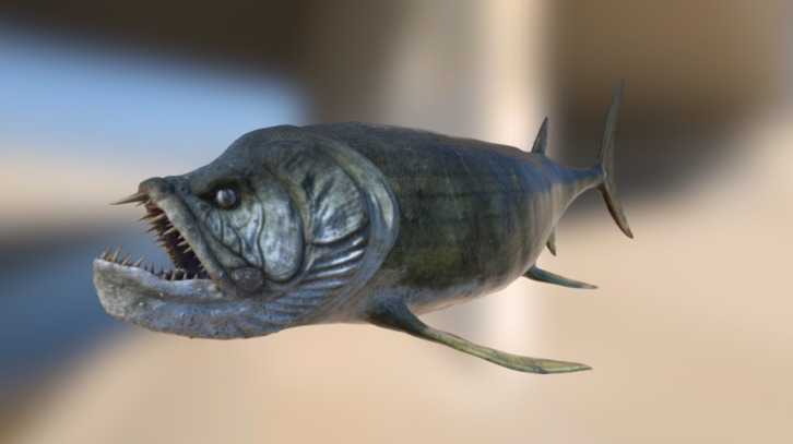 Xiphactinus 3d model