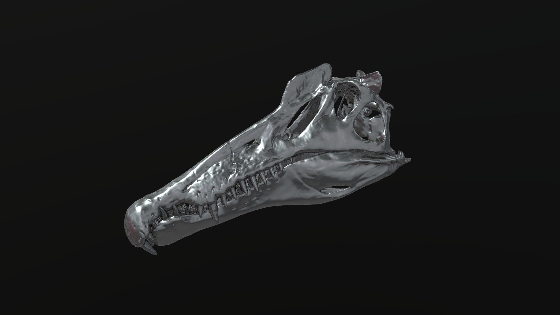 Spinosaurus skull 3d model