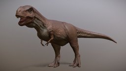 Tyrannosaurus Rex (T-Rex)