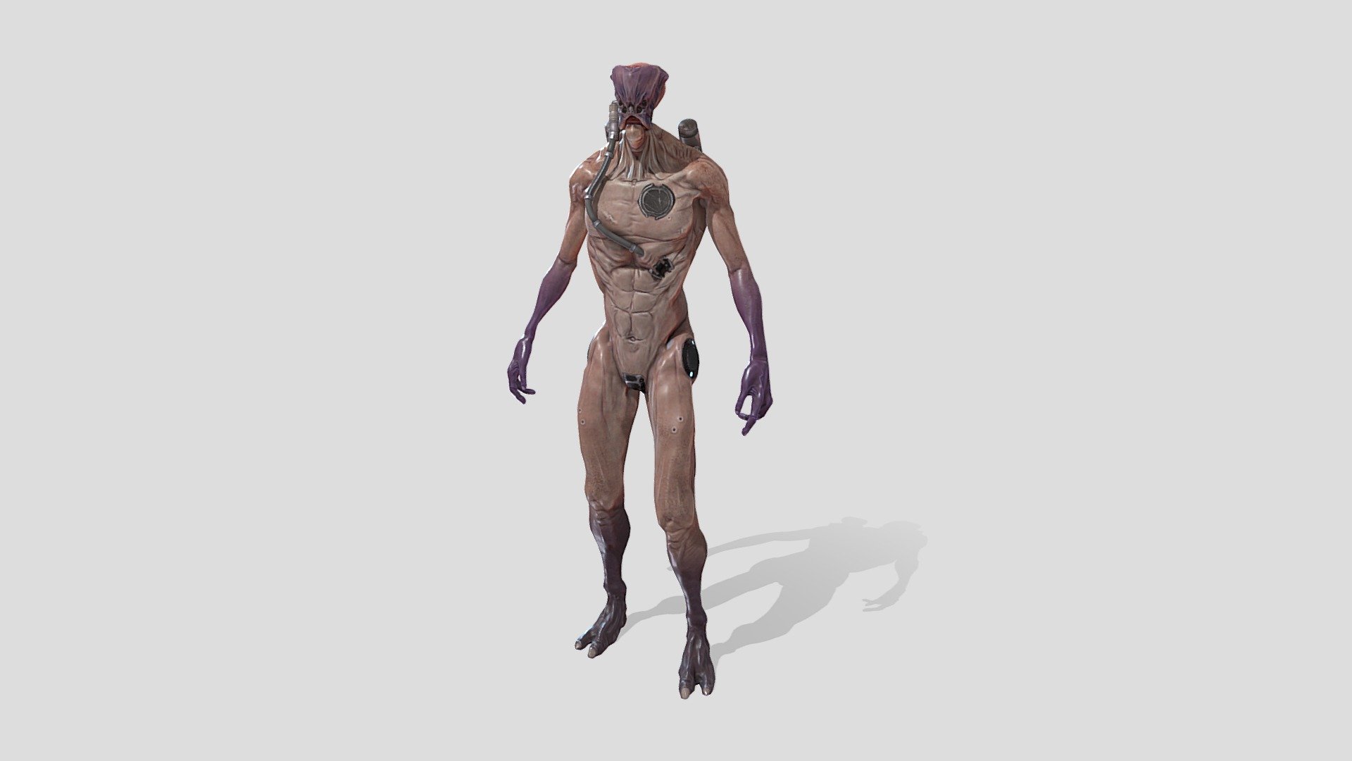 Alien Race 3d model