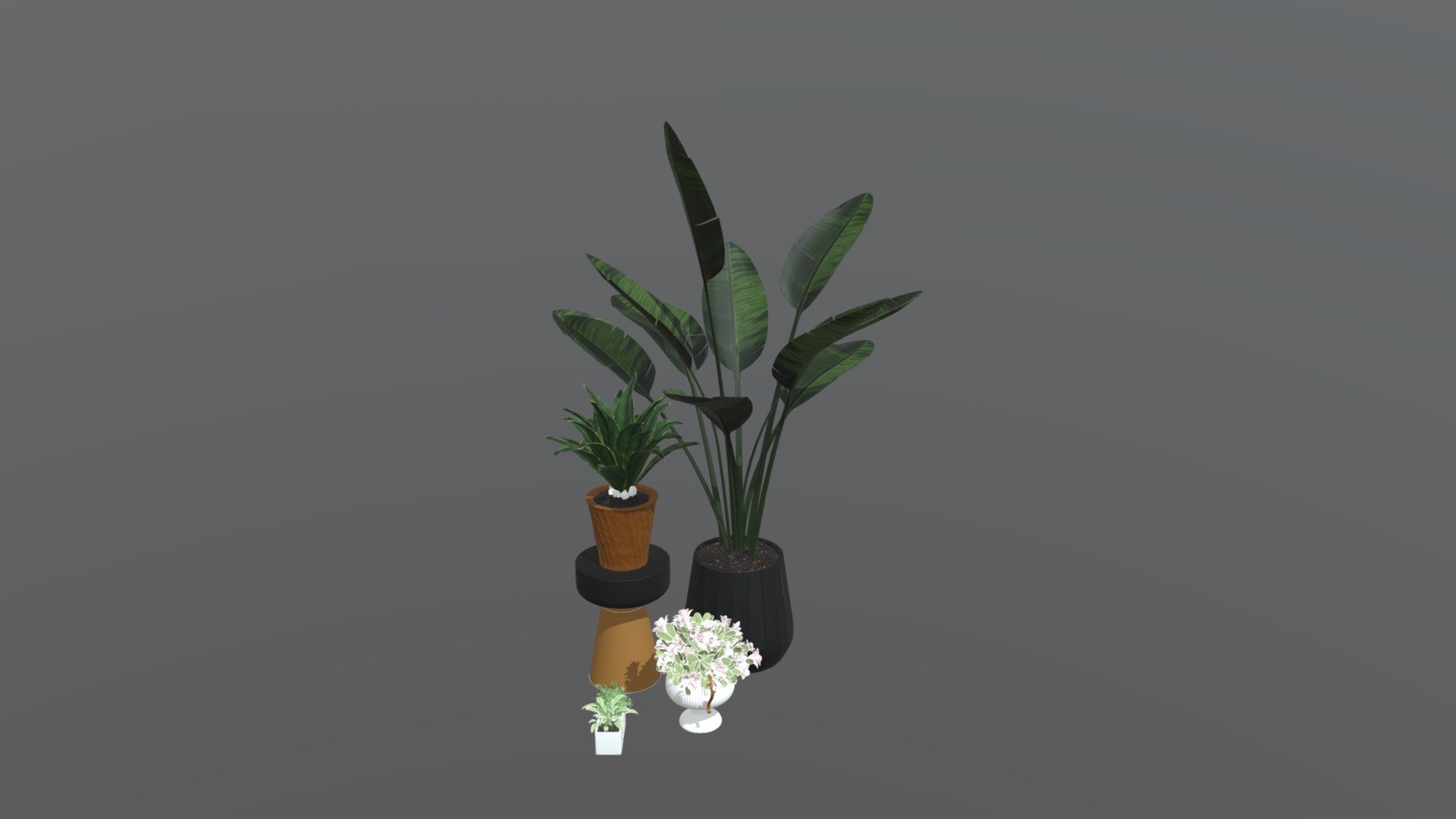 Indoor plants in pack 3d model