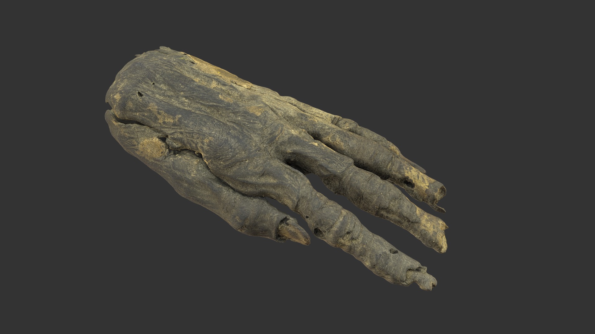 Scanned Bodypart 3d model