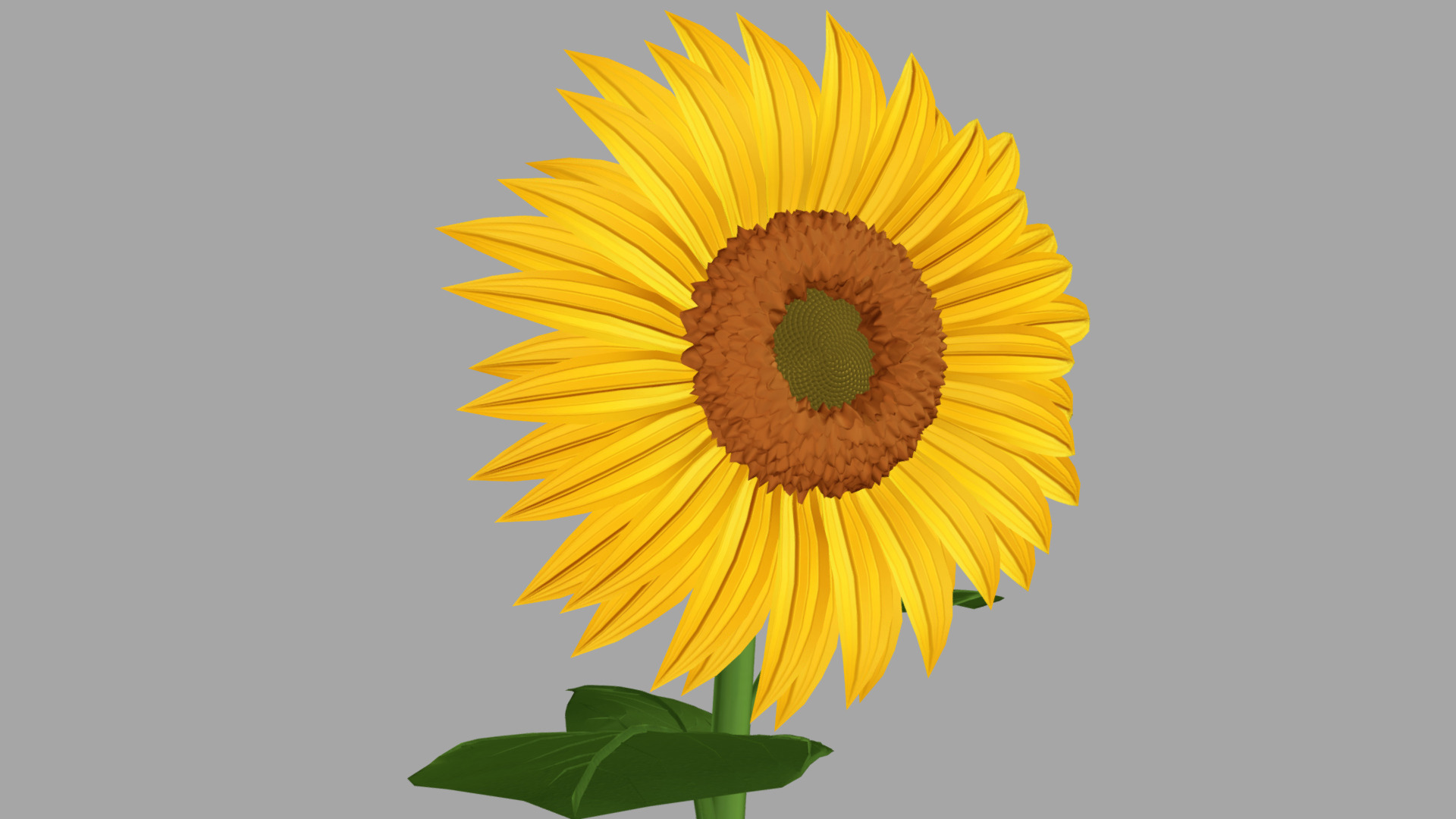 Cartoon-Styles Sunflower 3d model