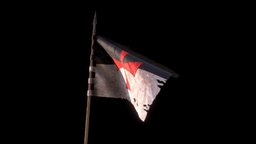 Templar Warbanner