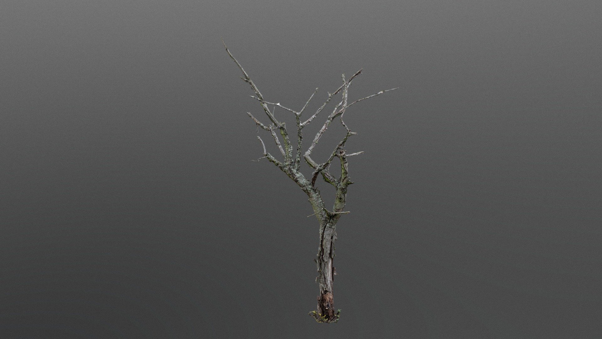 The Old Dead Tree 3d model