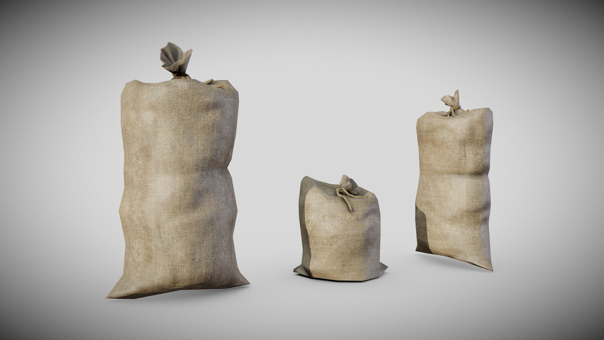 PBR old potato food sack bug er1 3d model