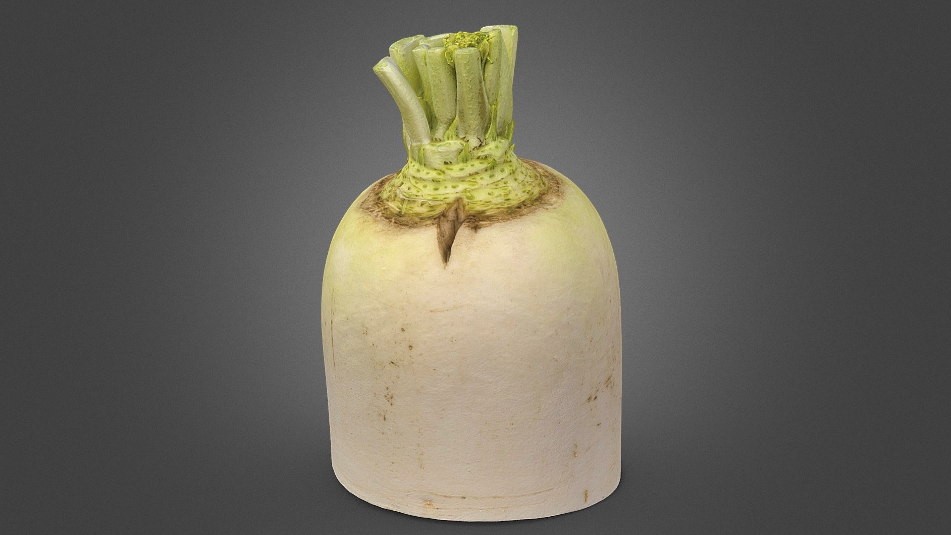 White Radish 3d model