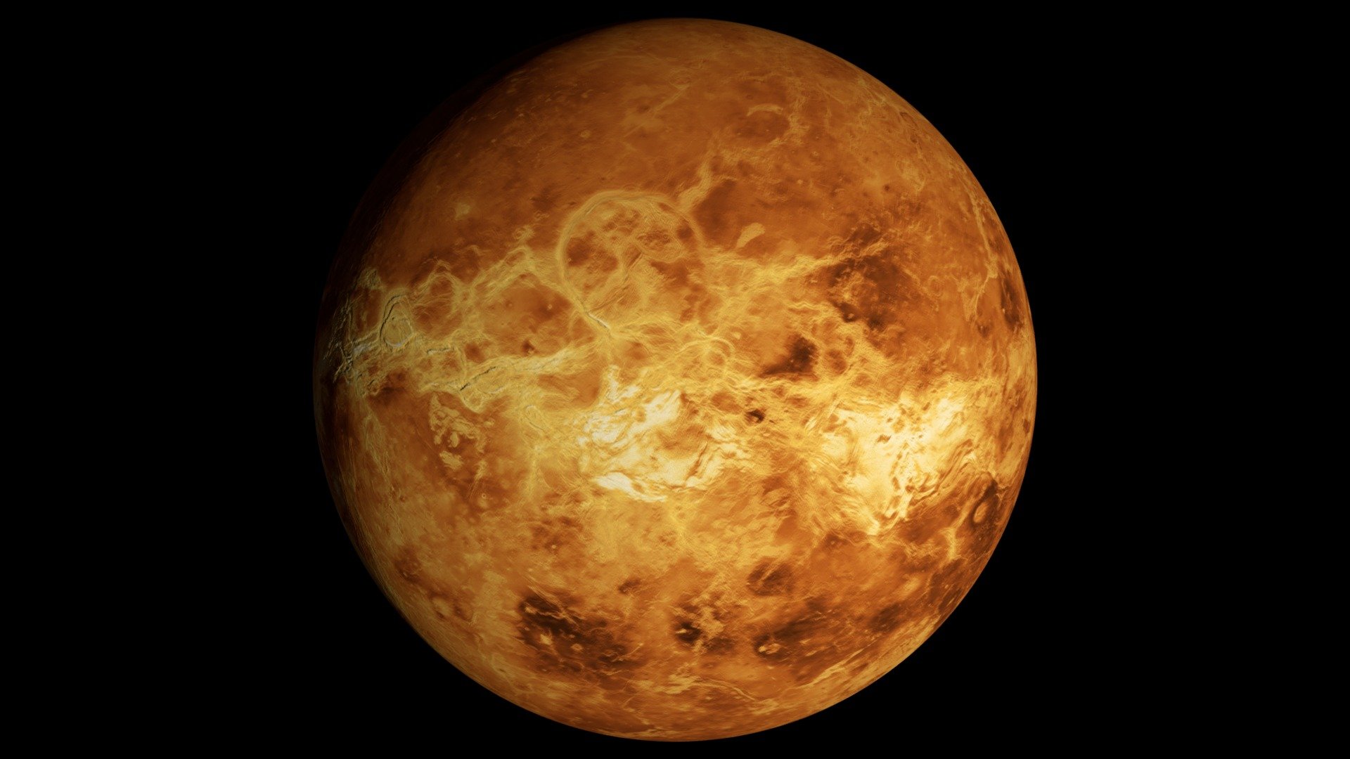 Venus v1.1 3d model