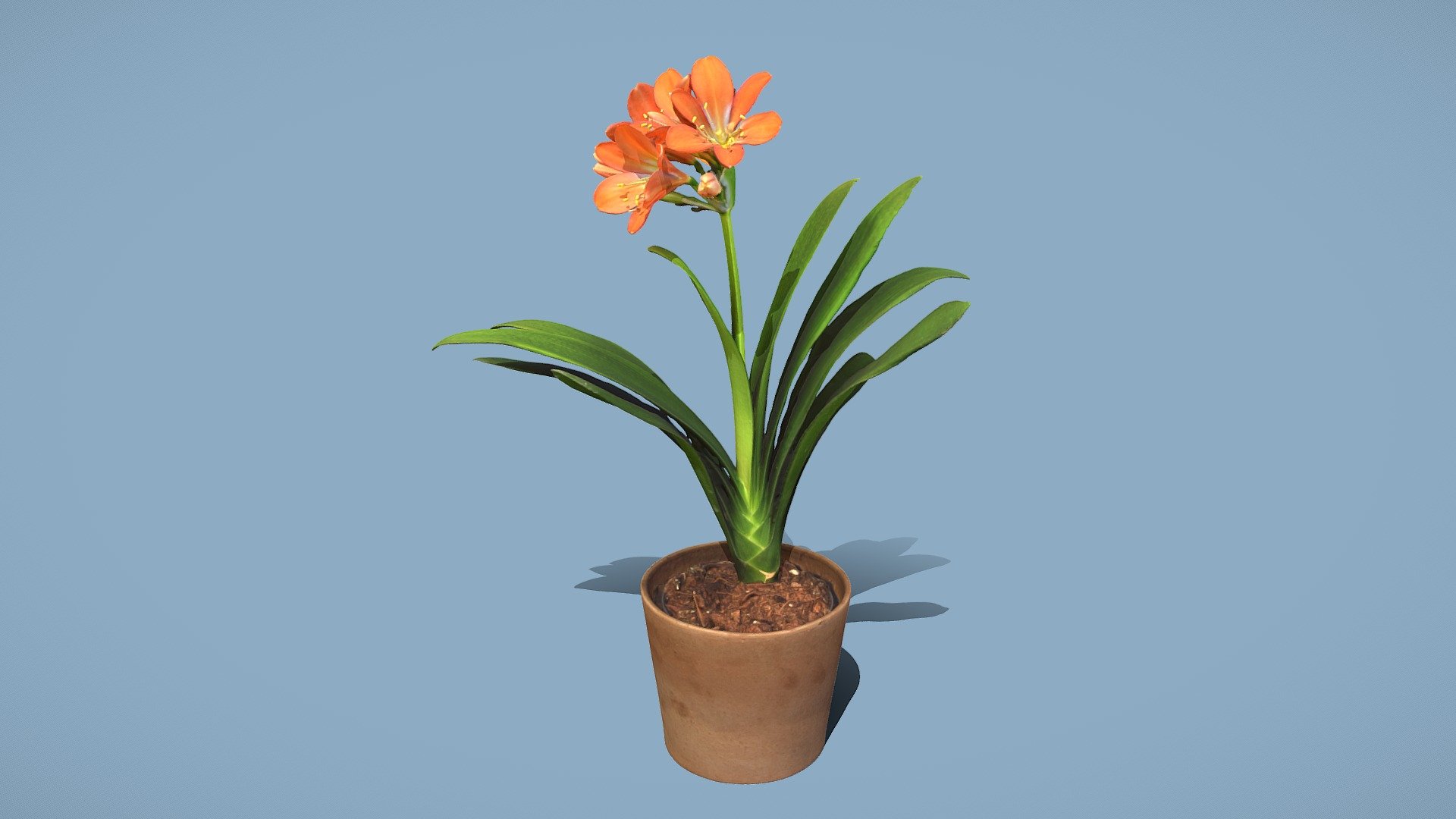 Bush lily 3d model