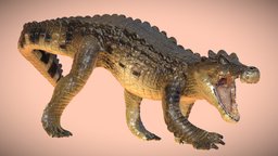 Kaprosuchus