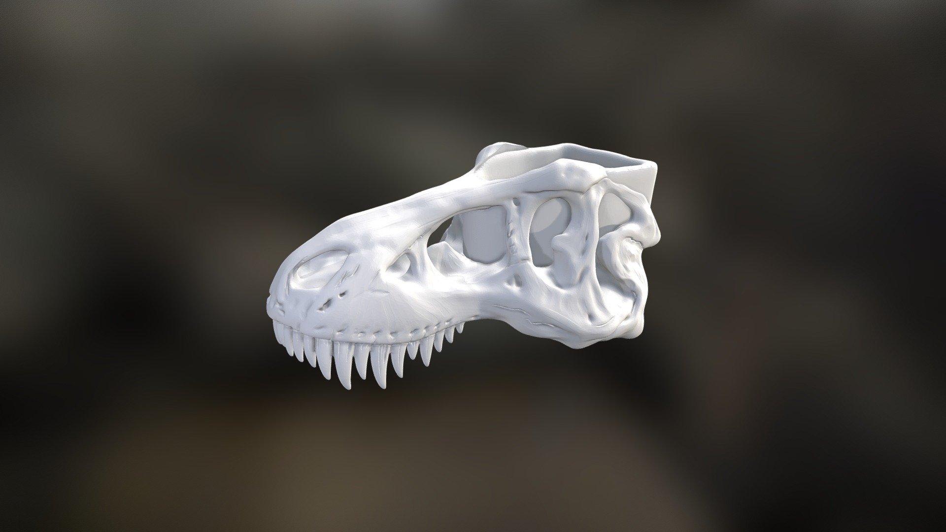 T-Rex 3d model