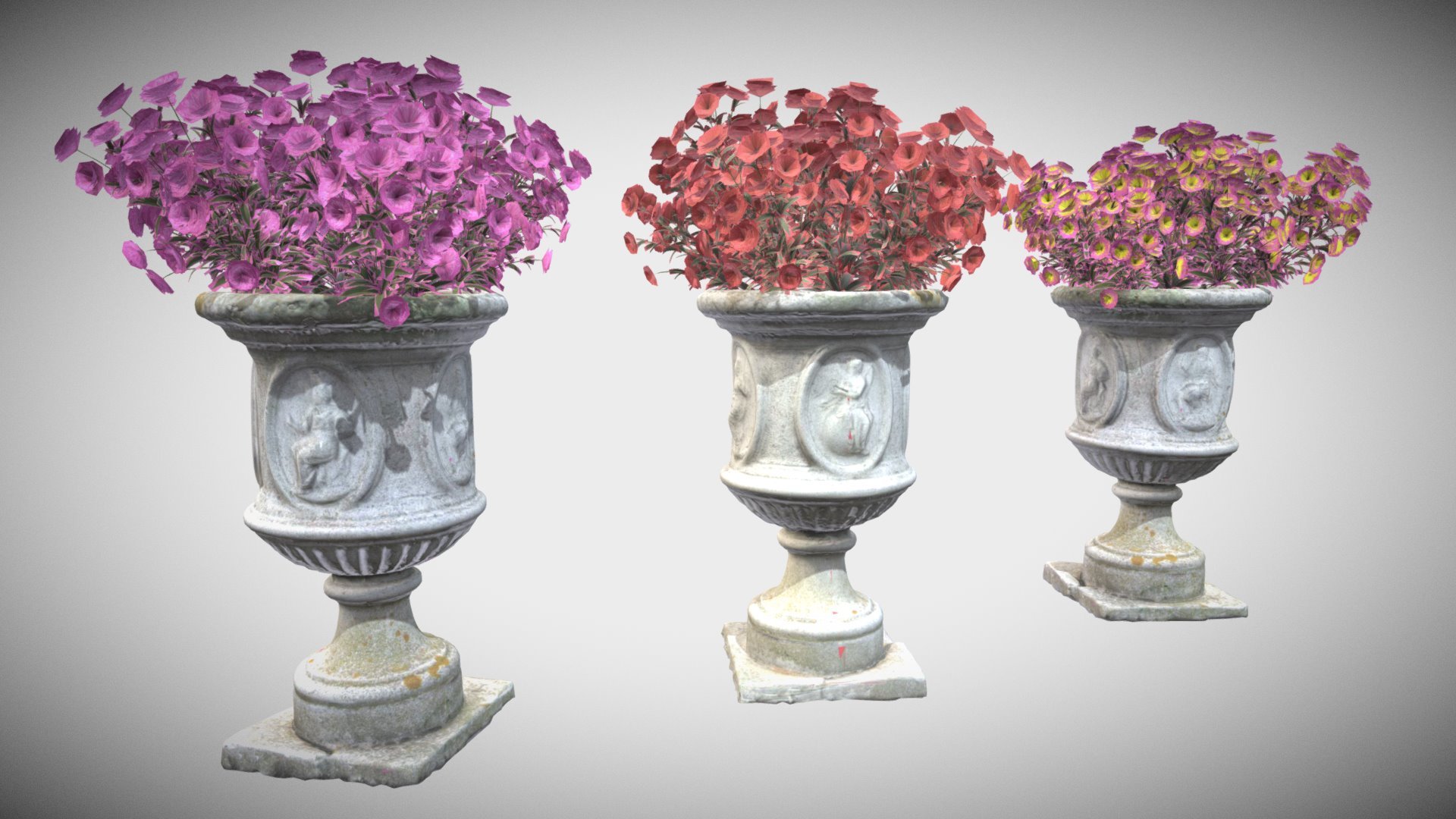 Flower Pots 3d model