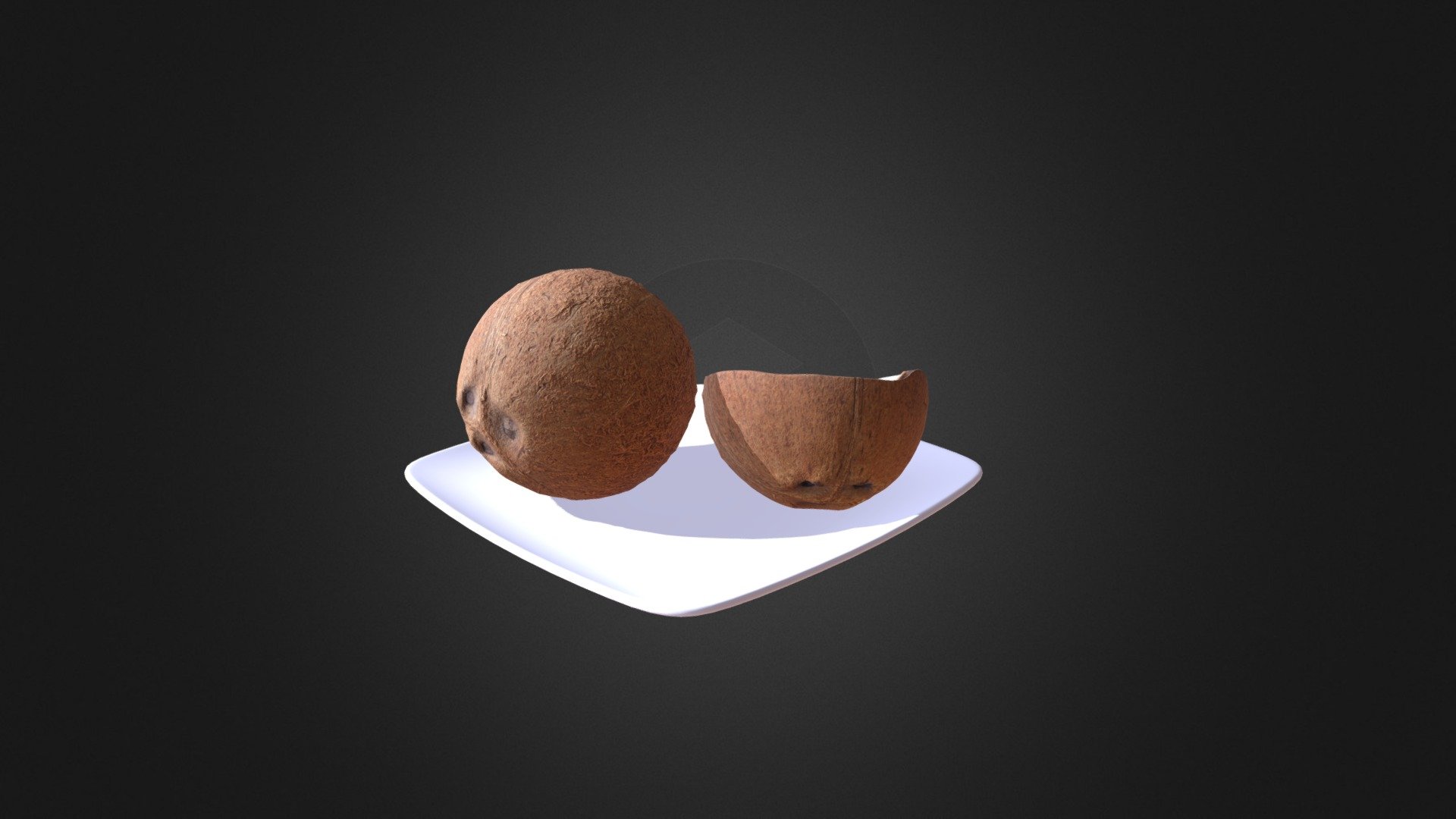 Coconuts 3d model