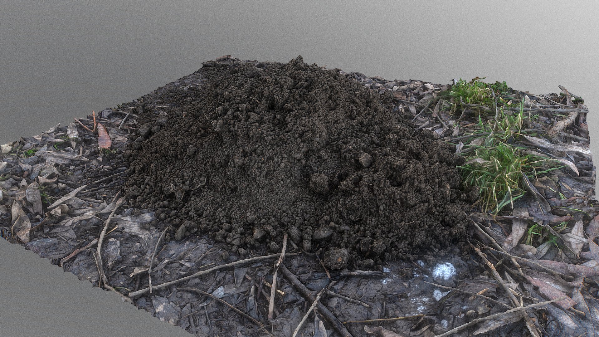 Molehill 3d model