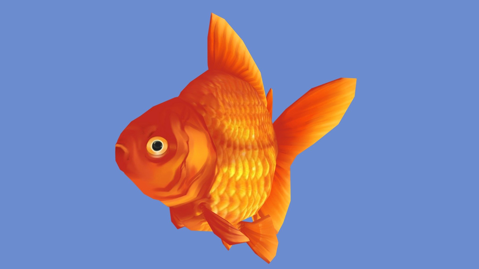 Goldfish 3d model