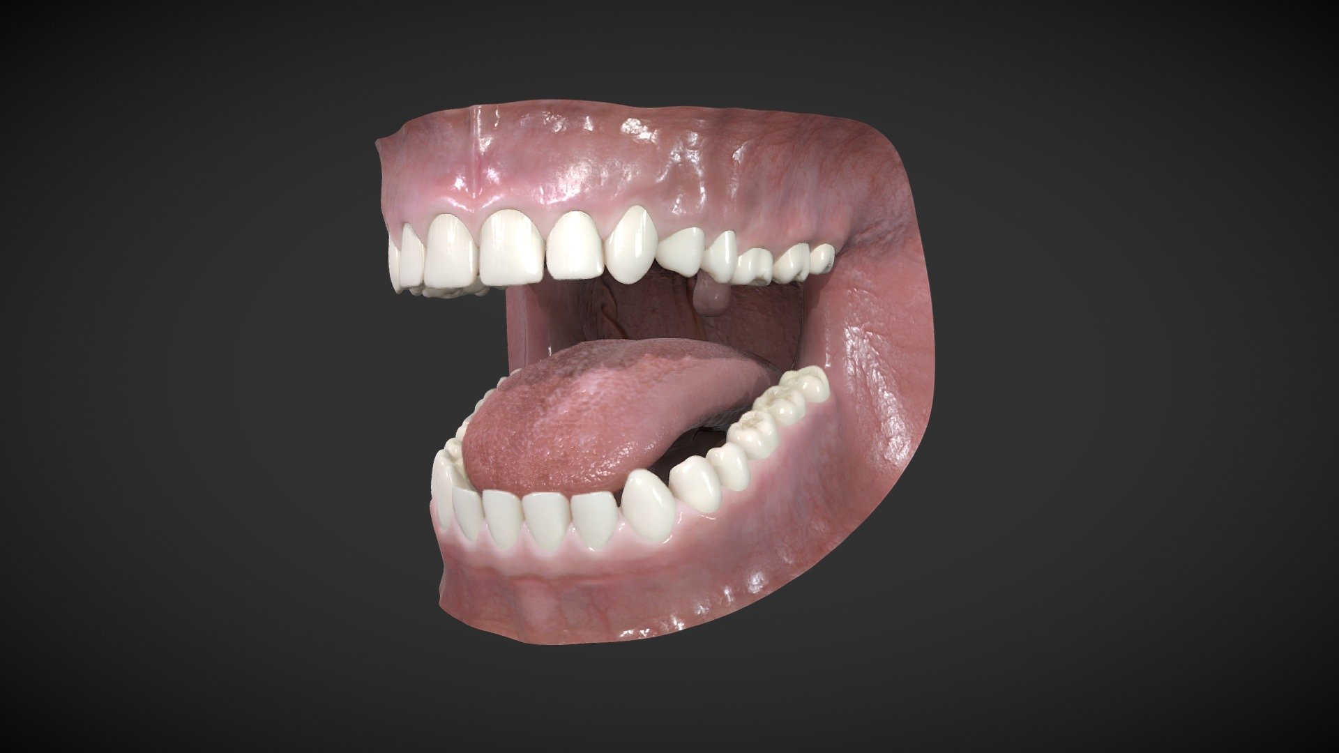 Mouth Model 2021 3d model