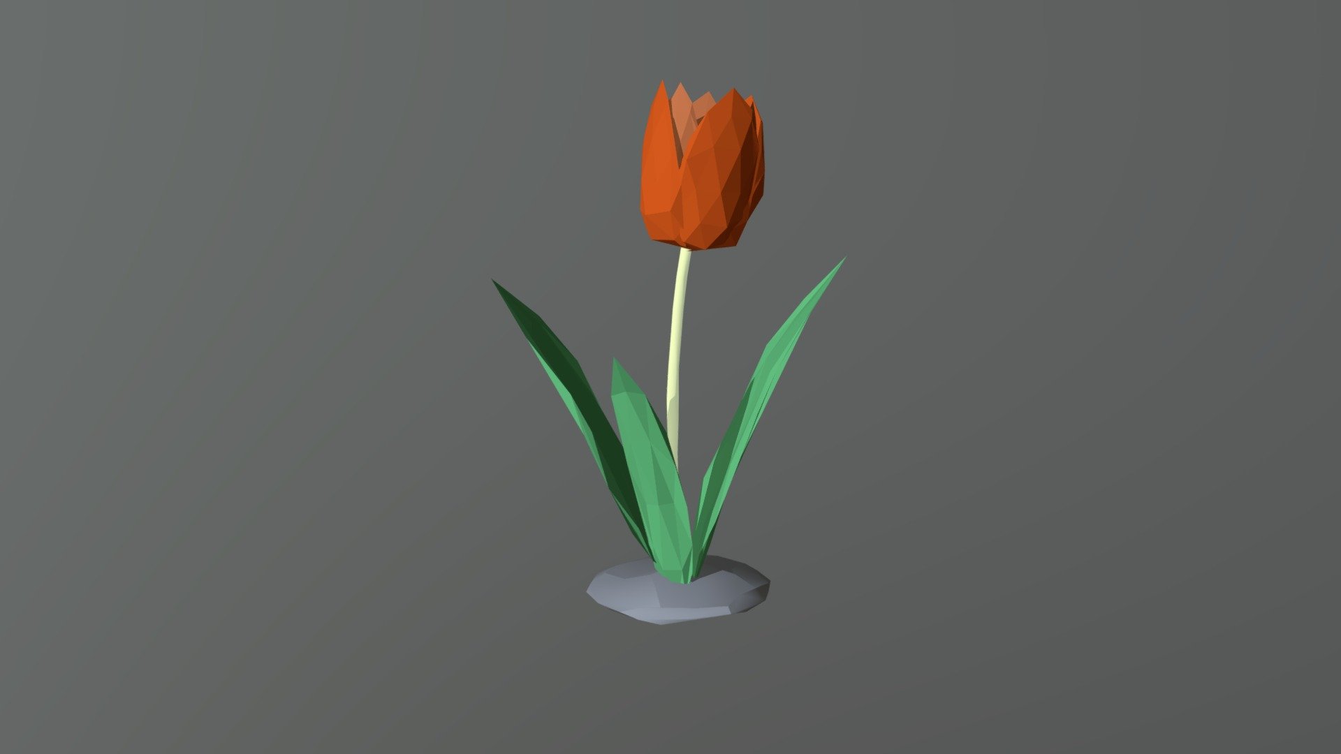 Tulip 3d model