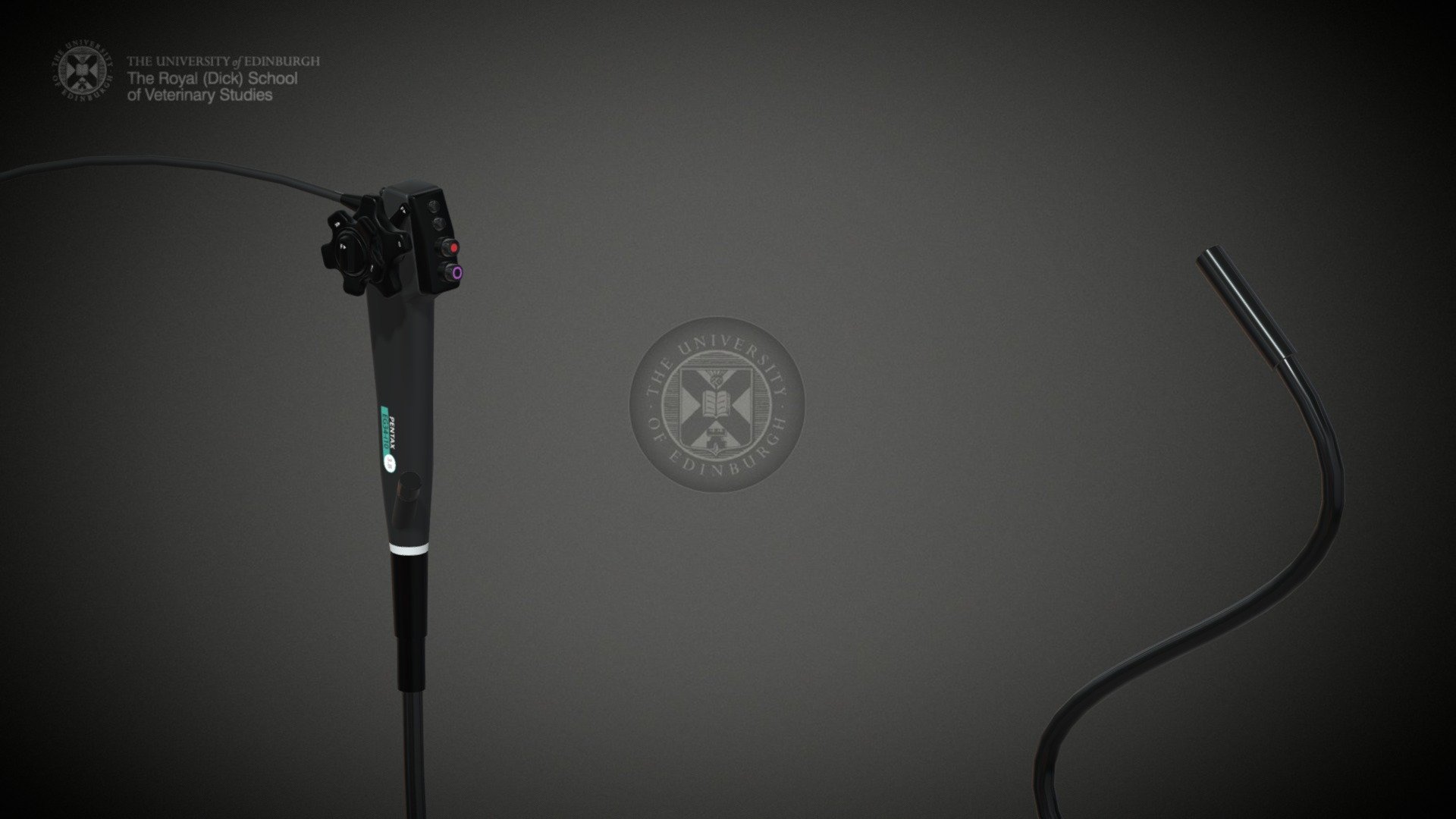 Endoscope 3d model