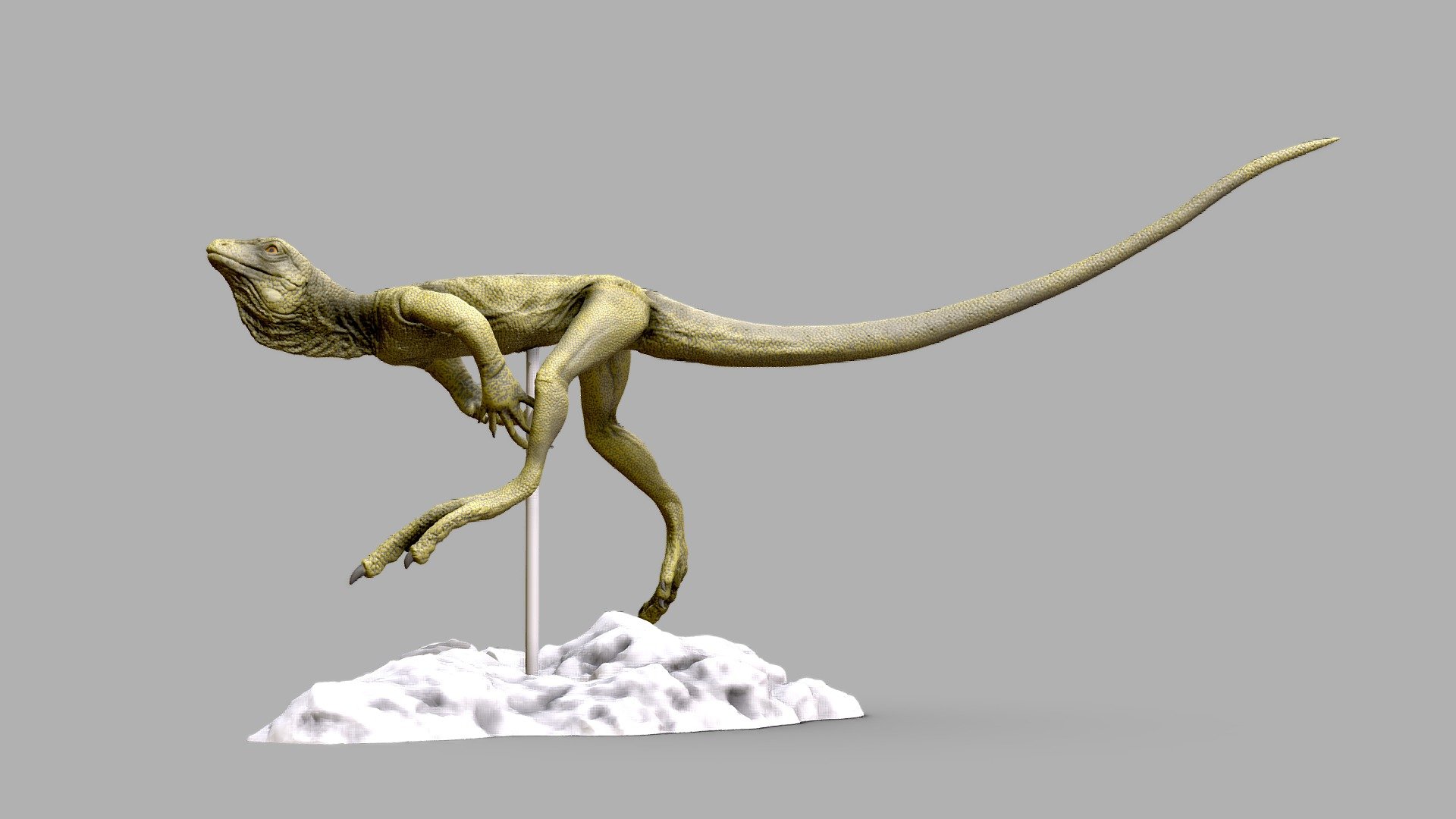 Eudibamus for 3D Printing 3d model