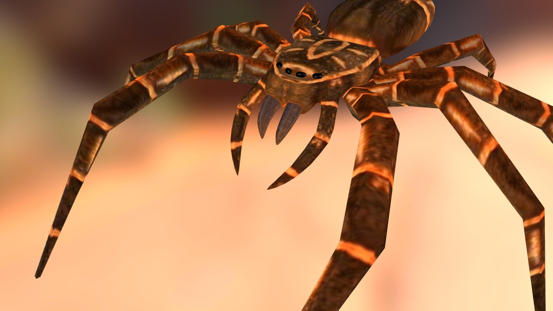 Spider 3d model