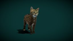 European WildCat (Lowpoly)