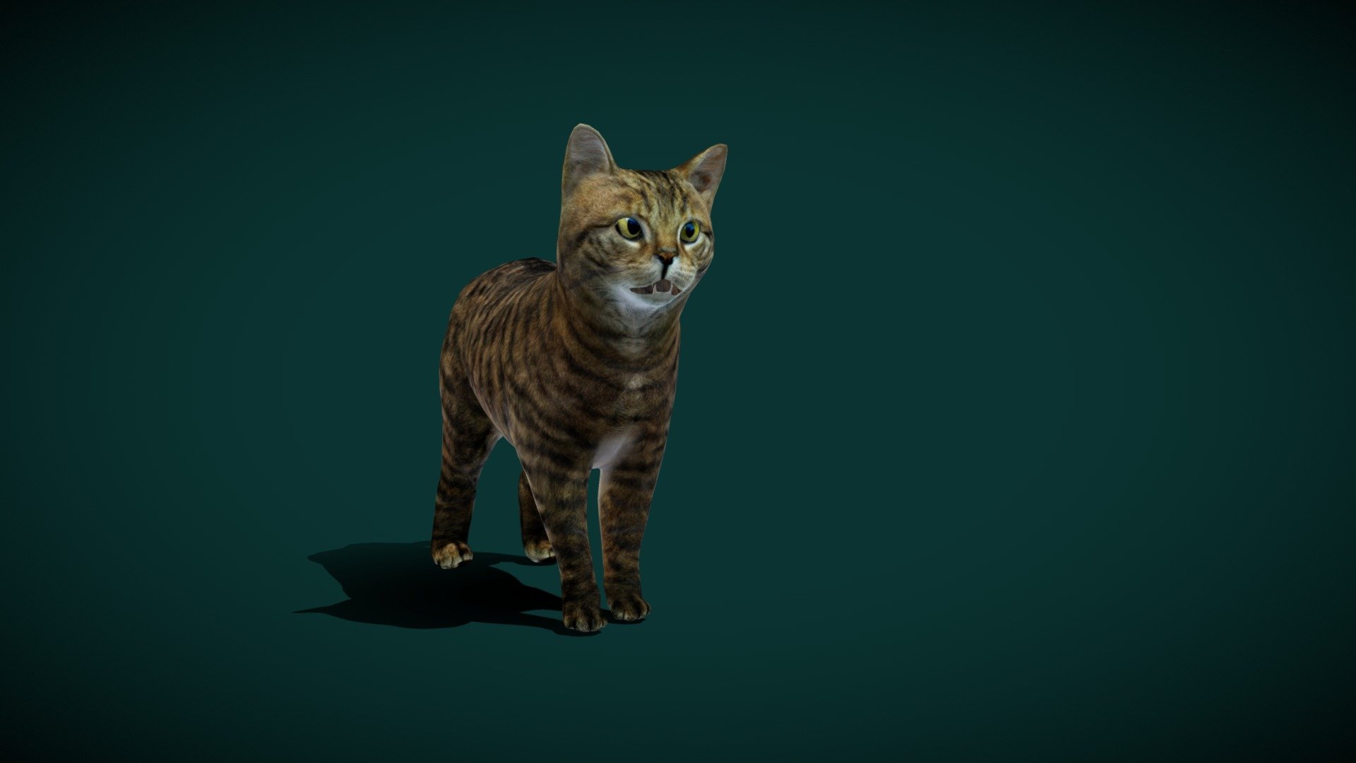 European WildCat (Lowpoly) 3d model