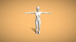 Base Mesh for Animation