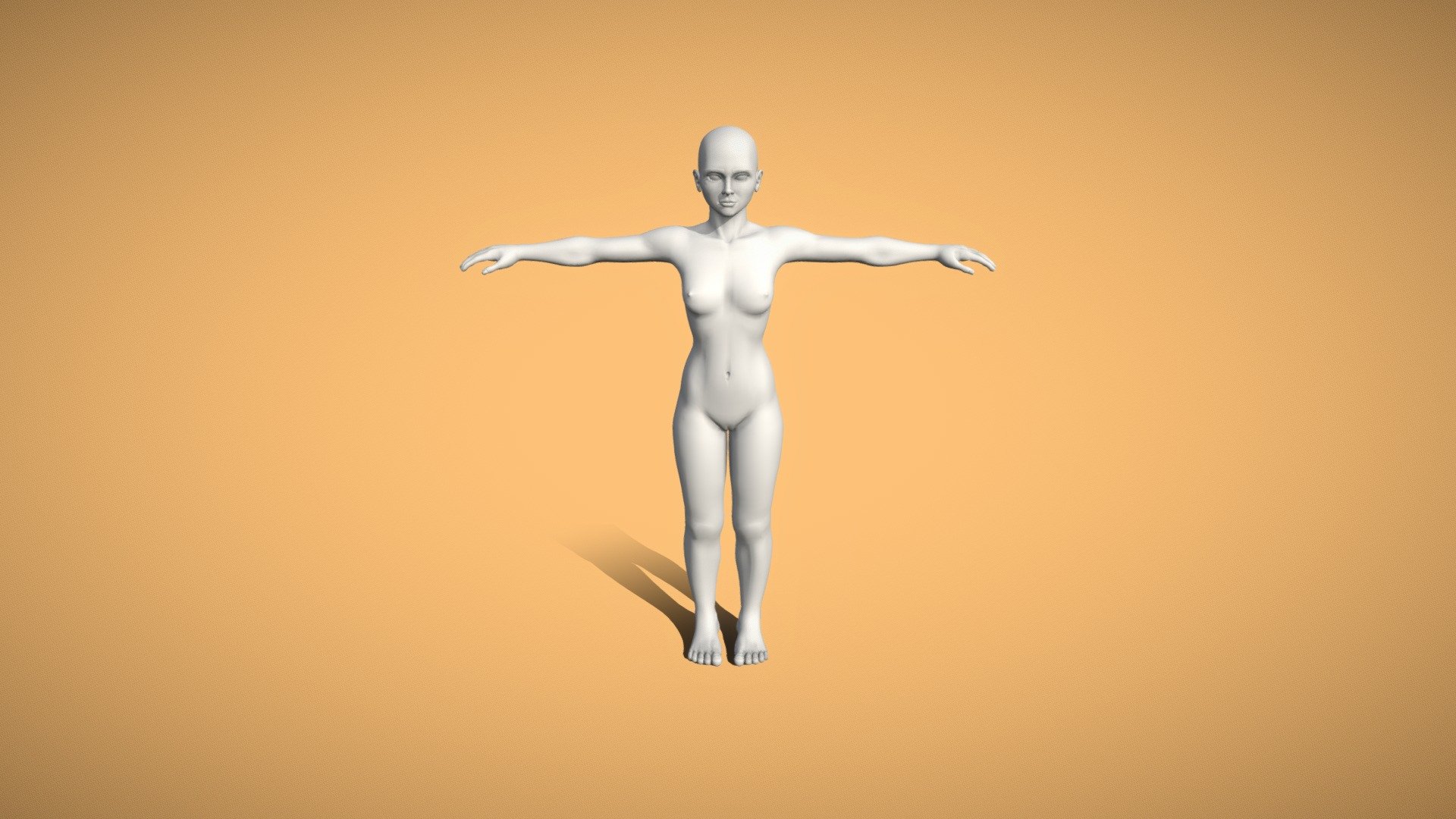 Base Mesh for Animation 3d model