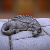 Sleeping Dragon