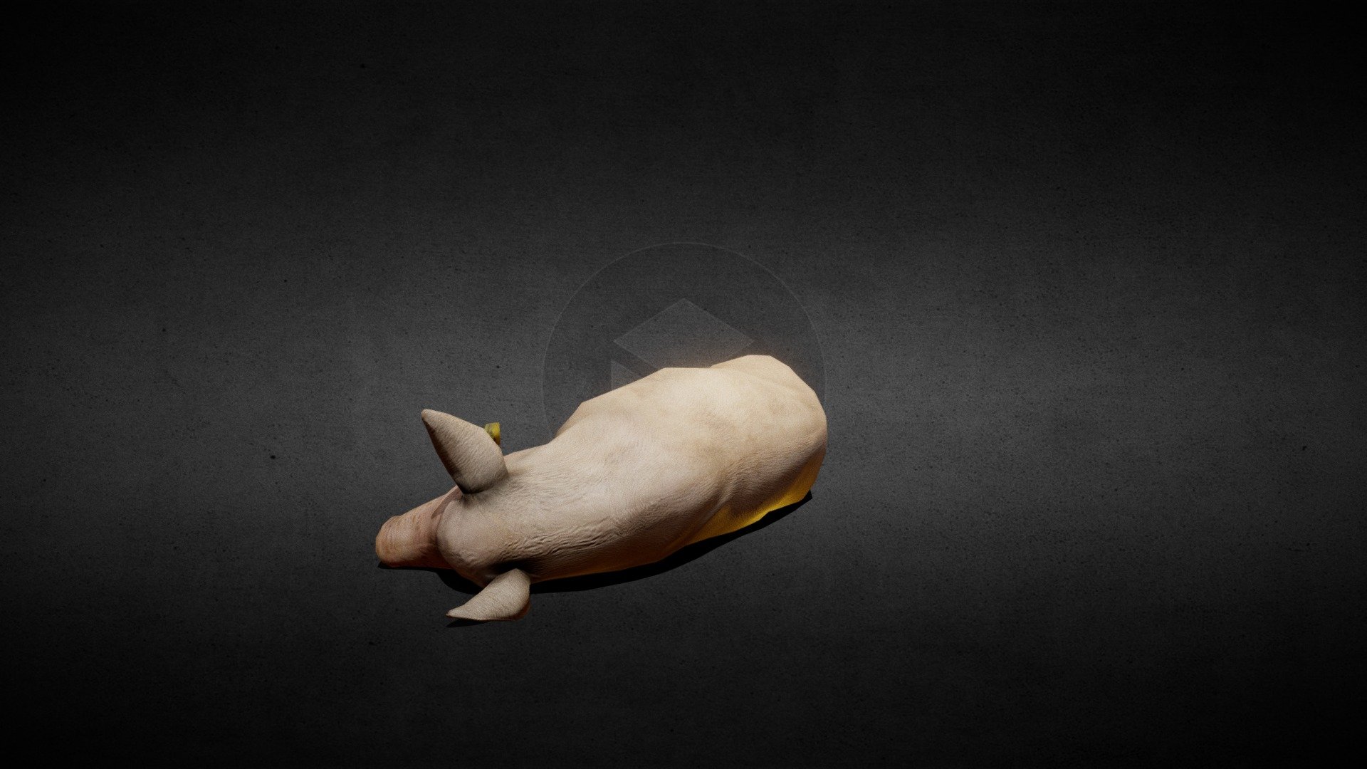 Pig 3d model