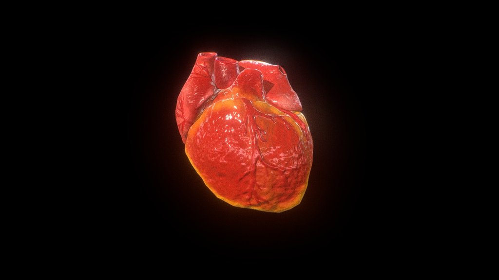 Closed Animated Heart V2 3d model