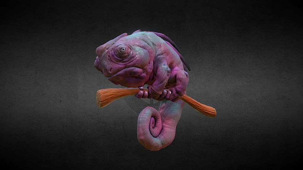 Chameleon 3d model