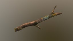 Branch