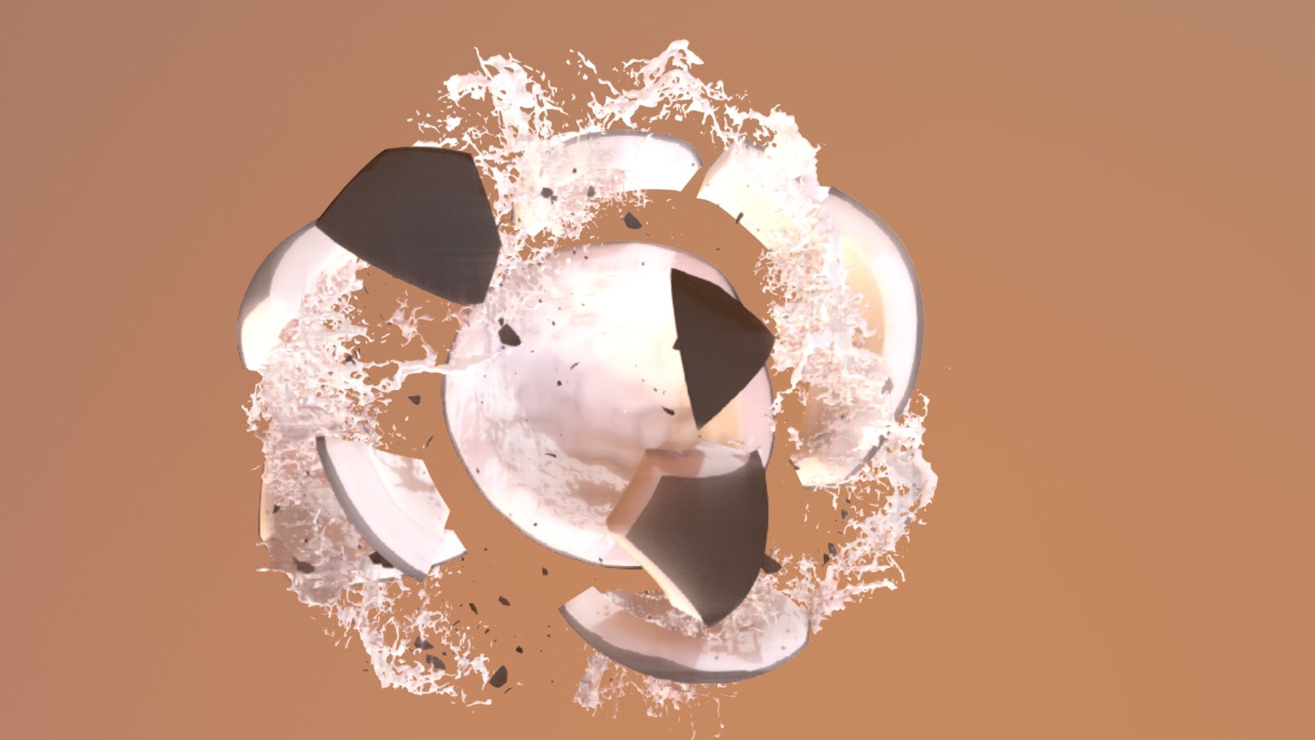 Coconut Splash 3d model