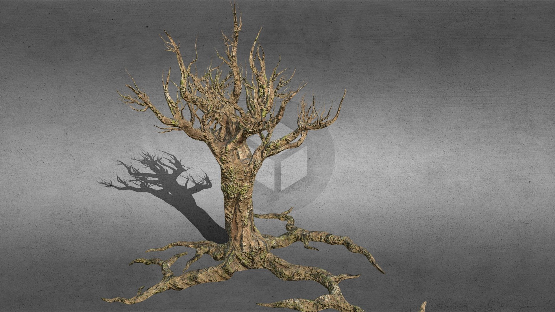 Tree (HP) 3d model