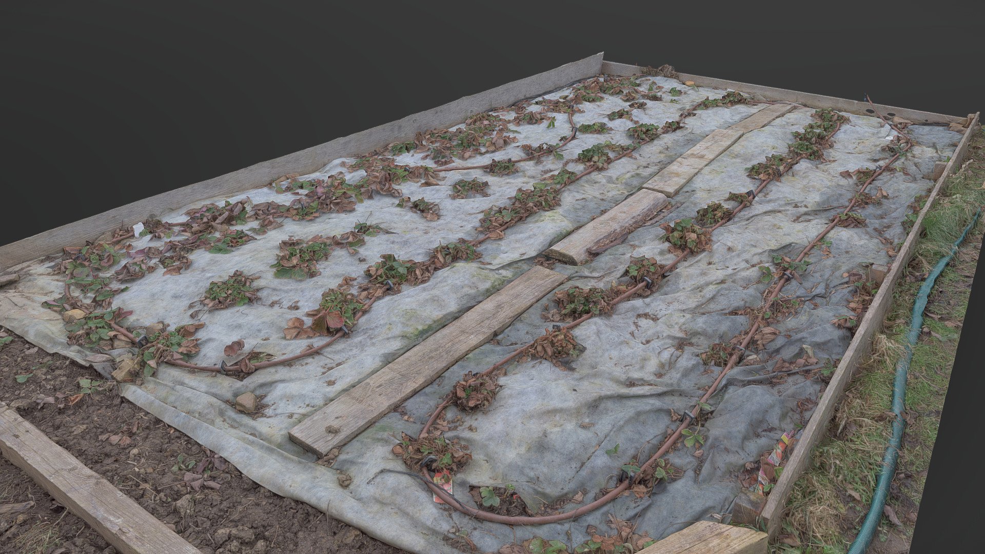 Raised strawberry planting bed 3d model