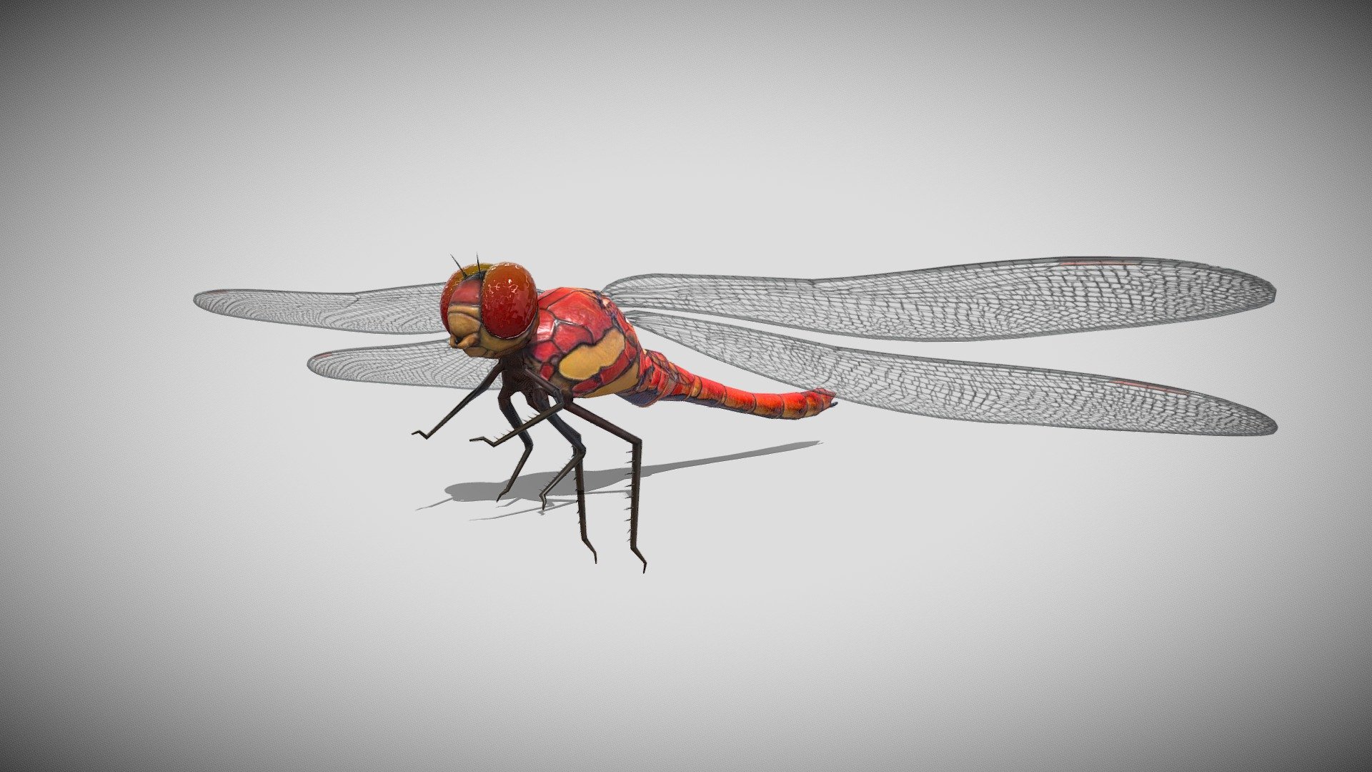 Medhue DragonFly 3d model