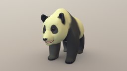 Giant Panda Bear