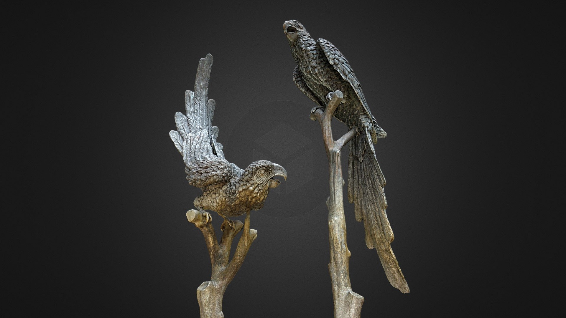 Parrots Statue 3d model