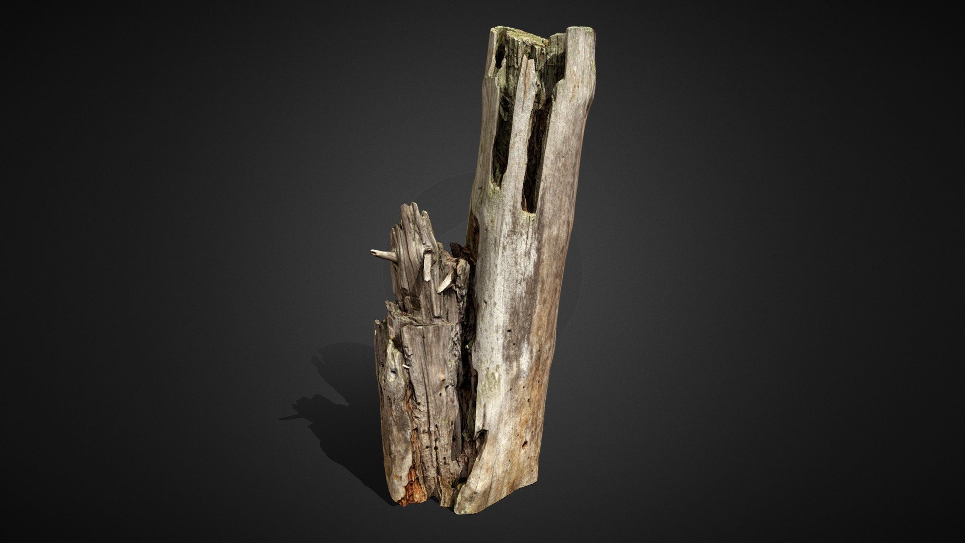 Rotten tree trunk 3d model