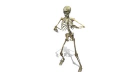 SKELETON