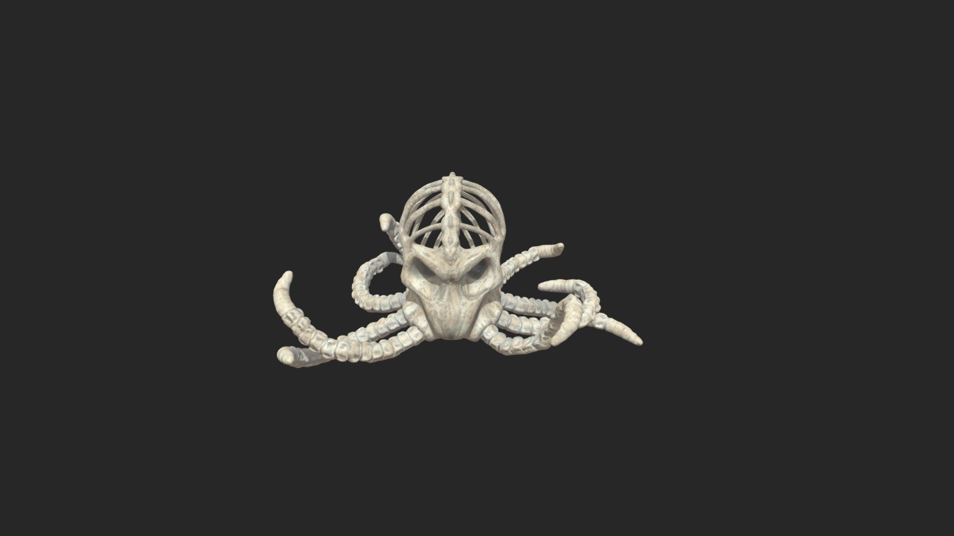 Octopus with skeleton 3d model