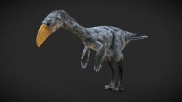 Terror Bird (Phorusrhacos)